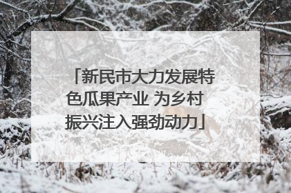 新民市大力发展特色瓜果产业 为乡村振兴注入强劲动力