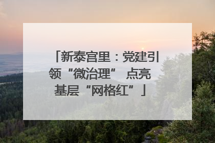 新泰宫里：党建引领“微治理” 点亮基层“网格红”