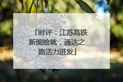 时评：江苏高铁新图绘就，通达之路活力迸发