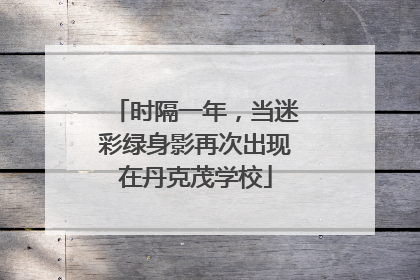 时隔一年，当迷彩绿身影再次出现在丹克茂学校