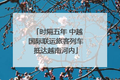 时隔五年 中越国际联运旅客列车抵达越南河内