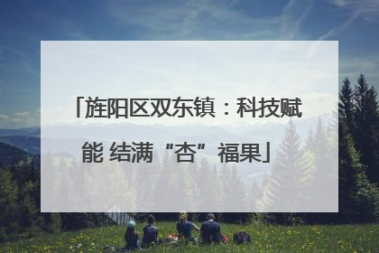 旌阳区双东镇：科技赋能 结满“杏”福果