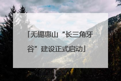 无锡惠山“长三角牙谷”建设正式启动