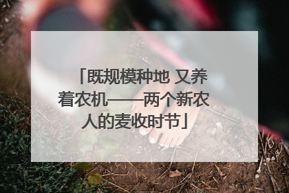 既规模种地 又养着农机——两个新农人的麦收时节