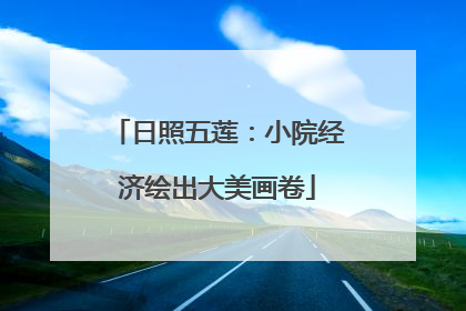 日照五莲：小院经济绘出大美画卷