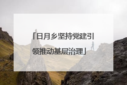 日月乡坚持党建引领推动基层治理