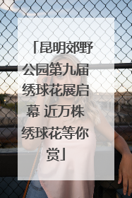 昆明郊野公园第九届绣球花展启幕 近万株绣球花等你赏
