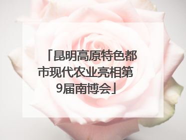 昆明高原特色都市现代农业亮相第9届南博会