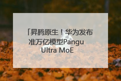 昇腾原生！华为发布准万亿模型Pangu Ultra MoE模型架构和训练细节