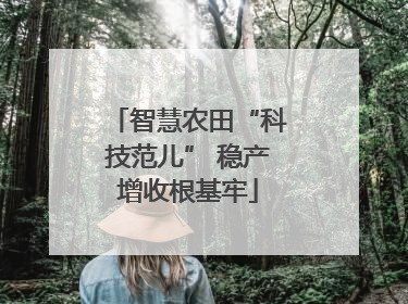 智慧农田“科技范儿” 稳产增收根基牢