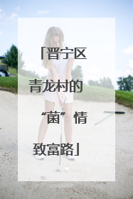 晋宁区青龙村的“菌”情致富路