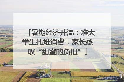 暑期经济升温：准大学生扎堆消费，家长感叹“甜蜜的负担”