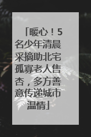 暖心！5名少年清晨采摘助北宅孤寡老人售杏，多方善意传递城市温情