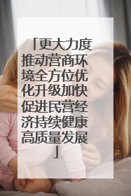 更大力度推动营商环境全方位优化升级加快促进民营经济持续健康高质量发展