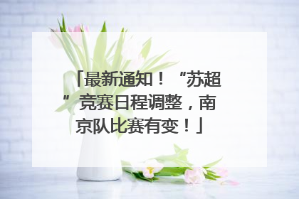 最新通知！“苏超”竞赛日程调整，南京队比赛有变！