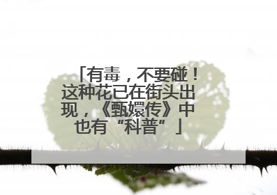 有毒，不要碰！这种花已在街头出现，《甄嬛传》中也有“科普”