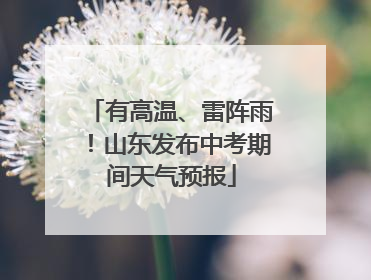 有高温、雷阵雨！山东发布中考期间天气预报