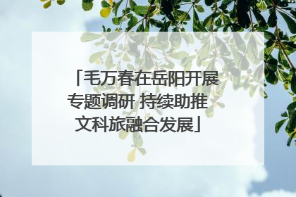 毛万春在岳阳开展专题调研 持续助推文科旅融合发展
