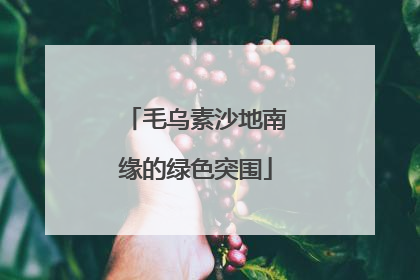 毛乌素沙地南缘的绿色突围