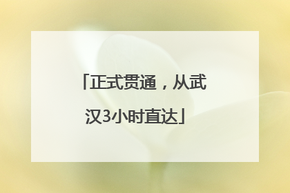 正式贯通，从武汉3小时直达