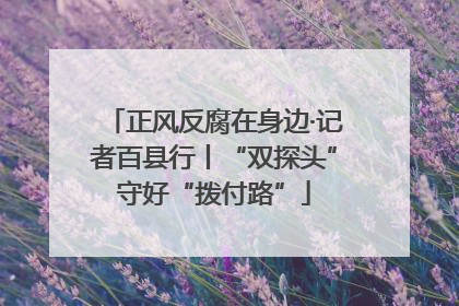 正风反腐在身边·记者百县行丨“双探头”守好“拨付路”