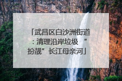 武昌区白沙洲街道：清理沿岸垃圾 “扮靓”长江母亲河