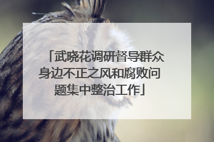 武晓花调研督导群众身边不正之风和腐败问题集中整治工作