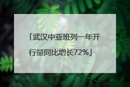 武汉中亚班列一年开行量同比增长72%