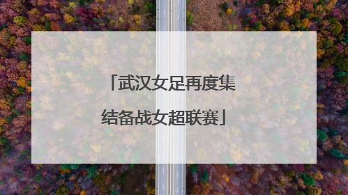 武汉女足再度集结备战女超联赛
