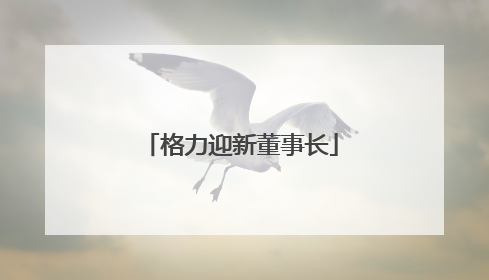 格力迎新董事长