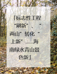 标志性工程“刷新”、“两山”转化“上新”……海南绿水青山景色新