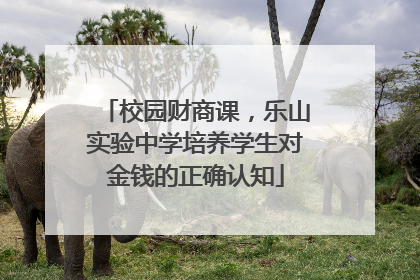 校园财商课，乐山实验中学培养学生对金钱的正确认知