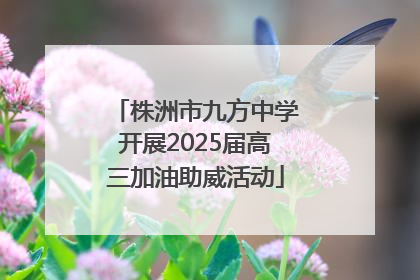 株洲市九方中学开展2025届高三加油助威活动