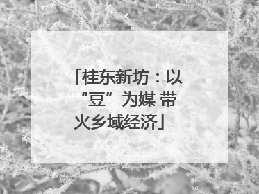 桂东新坊：以“豆”为媒 带火乡域经济