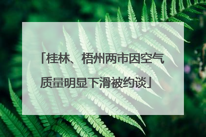 桂林、梧州两市因空气质量明显下滑被约谈