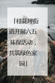桂花坪街道开展六五环保活动，共筑绿色家园