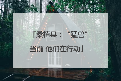 桑植县：“猛兽”当前 他们在行动