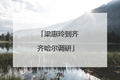 梁惠玲到齐齐哈尔调研