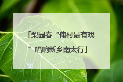 梨园春“俺村最有戏”唱响新乡南太行