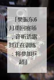 樊振东6月重回赛场，许昕透露其正在训练：将参加乒超
