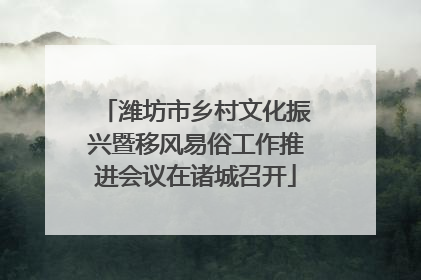 潍坊市乡村文化振兴暨移风易俗工作推进会议在诸城召开