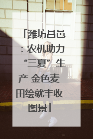 潍坊昌邑：农机助力“三夏”生产 金色麦田绘就丰收图景