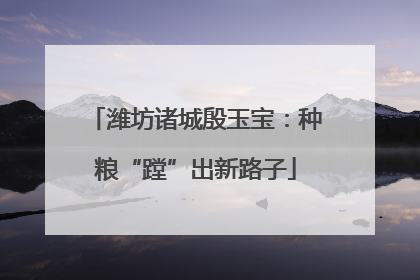 潍坊诸城殷玉宝：种粮“蹚”出新路子