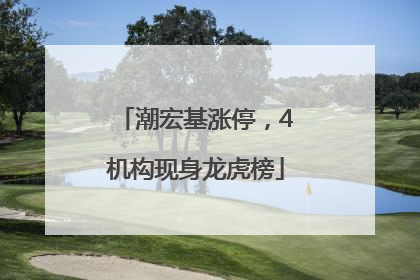 潮宏基涨停，4机构现身龙虎榜