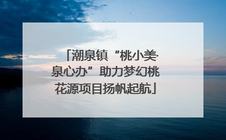 潮泉镇“桃小美·泉心办”助力梦幻桃花源项目扬帆起航