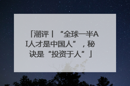 潮评丨“全球一半AI人才是中国人”，秘诀是“投资于人”