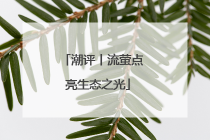 潮评丨流萤点亮生态之光