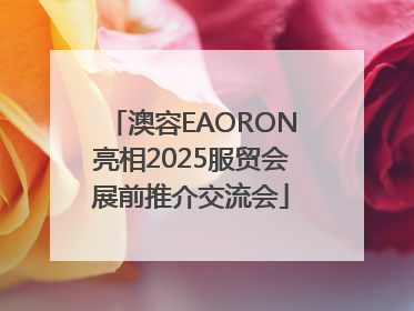 澳容EAORON亮相2025服贸会展前推介交流会
