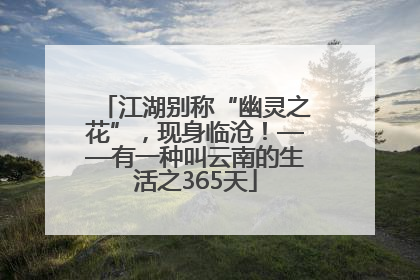 江湖别称“幽灵之花”，现身临沧！——有一种叫云南的生活之365天