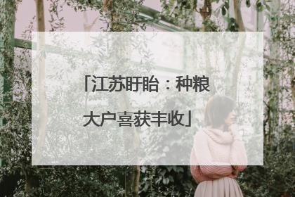 江苏盱眙：种粮大户喜获丰收